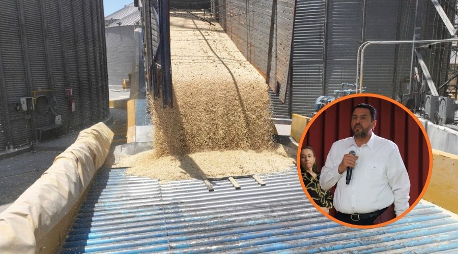 Maíz en una tolva y en un círculo, Ismael bello esquive