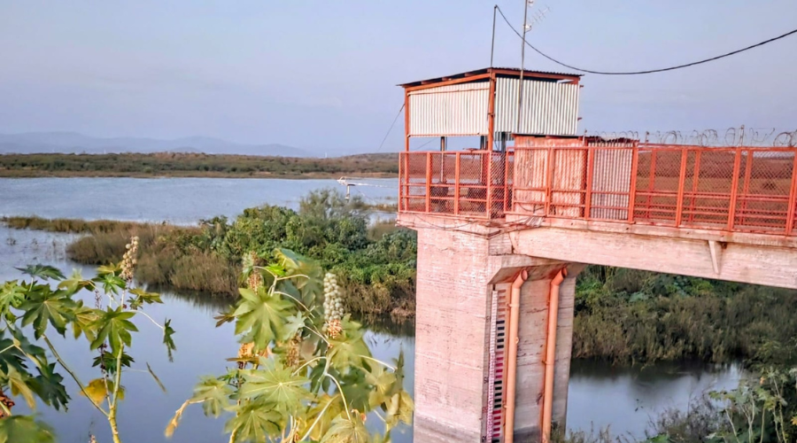 Puente colocado sobre lago con flora