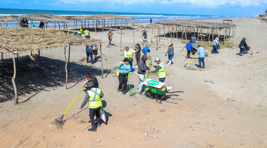 Personas realizando limpieza en playa