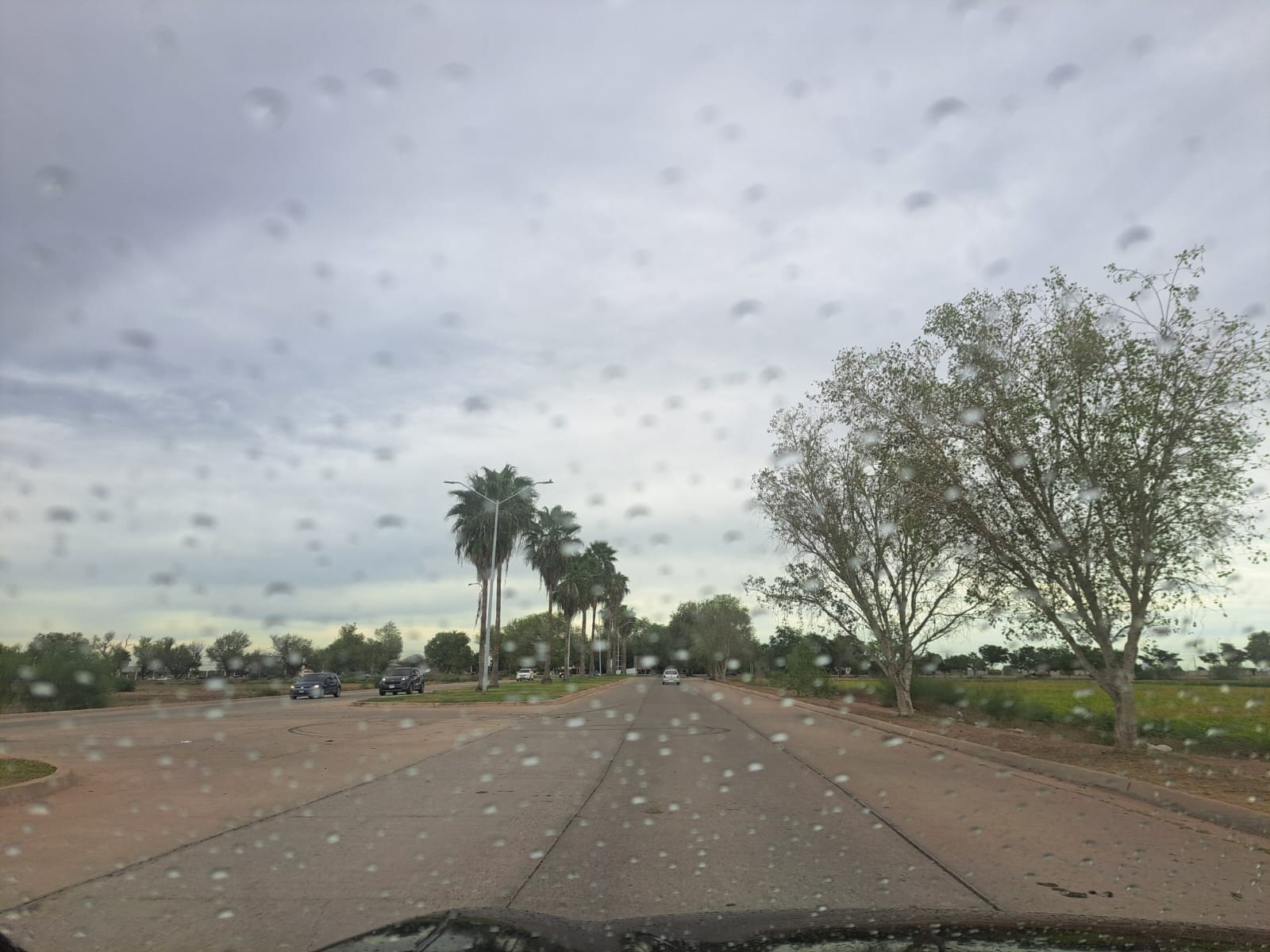 Gotas de lluvia mojan el parabrisas de un auto en Los Mochis, Sinaloa