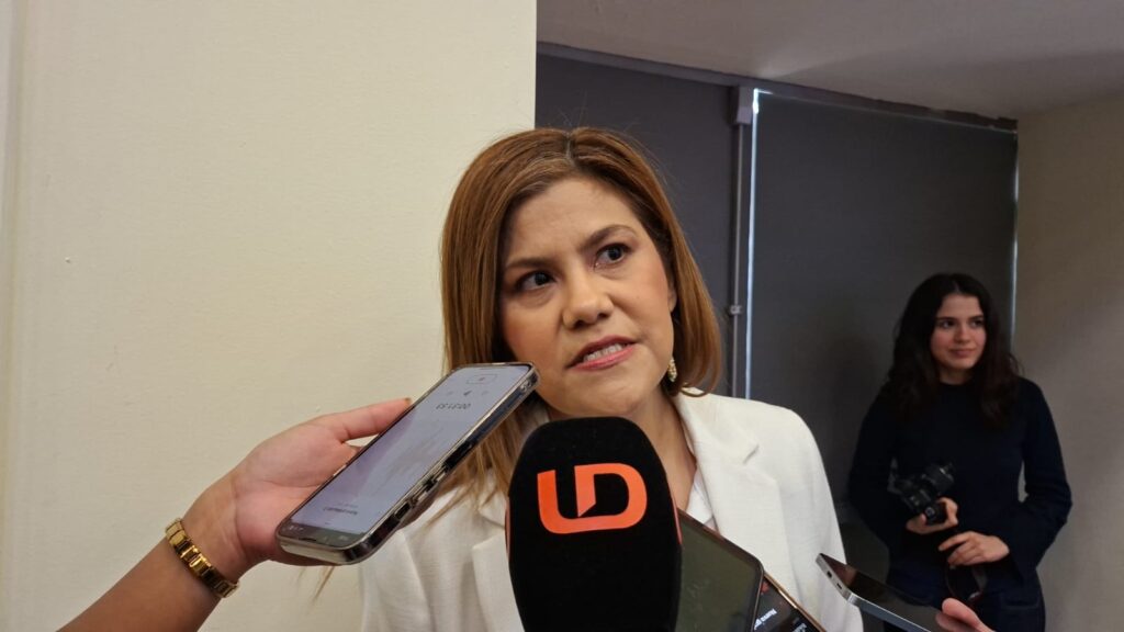 Presidenta del Comité de Participación Ciudadana del Sistema Anticorrupción