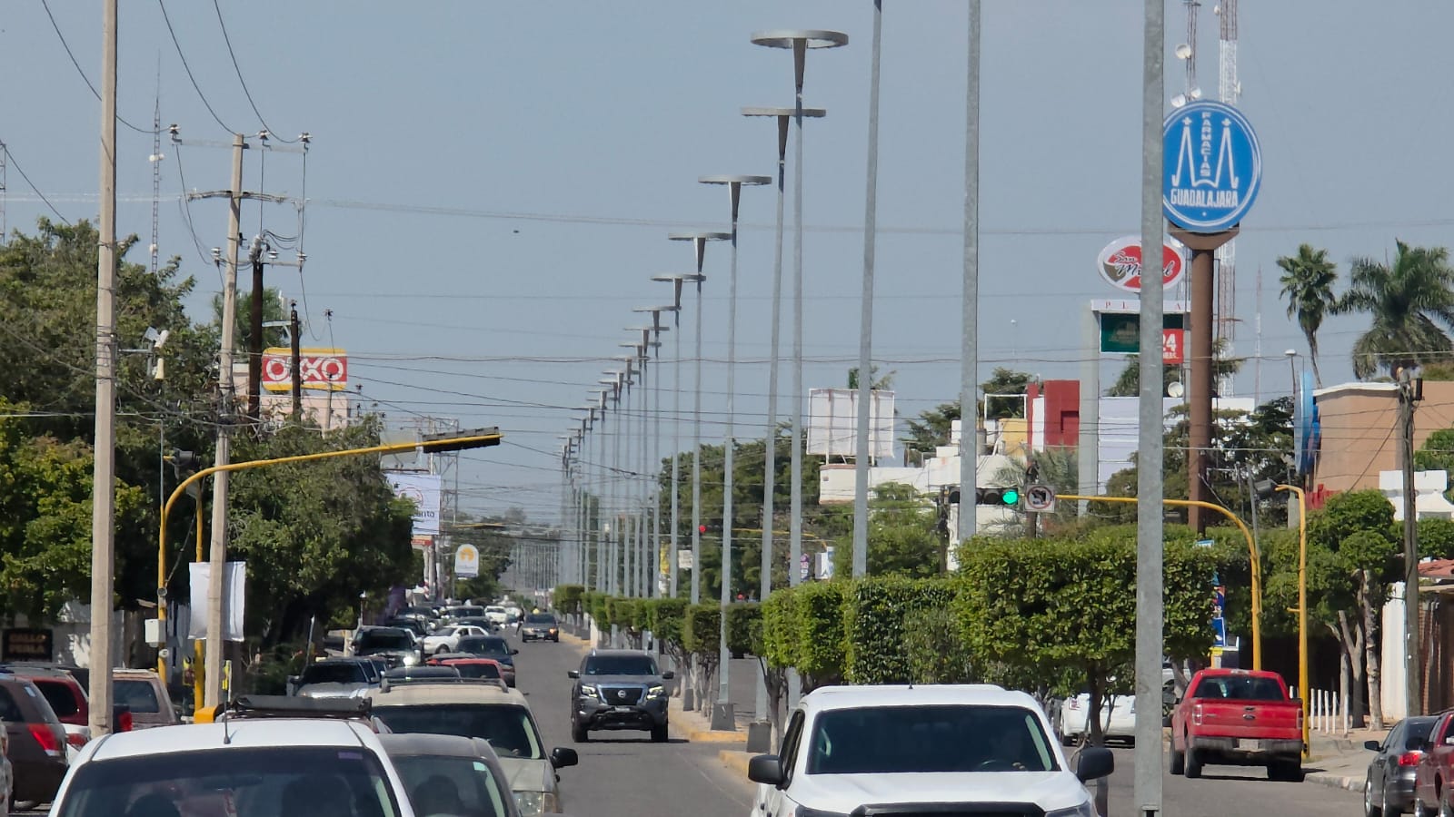 Reponer luminarias dañadas en el bulevar Rosales