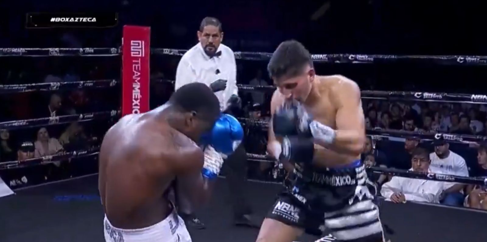 Marco Verde arriba de un ring boxeando