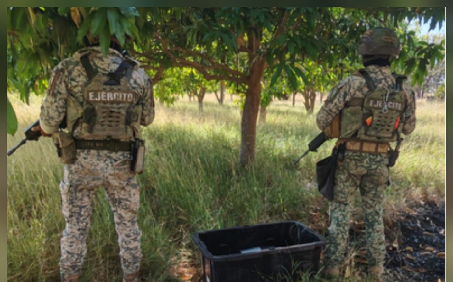 militares armados dando la espalda a la foto