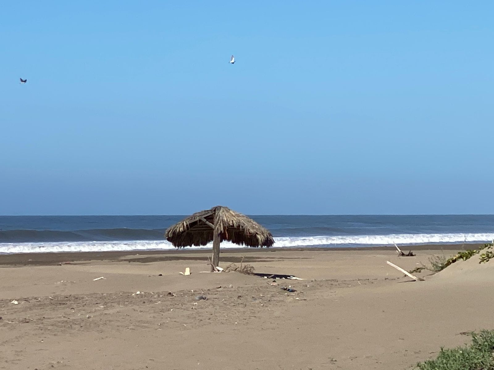 Playa de Guasave vacía, una palapa en medio