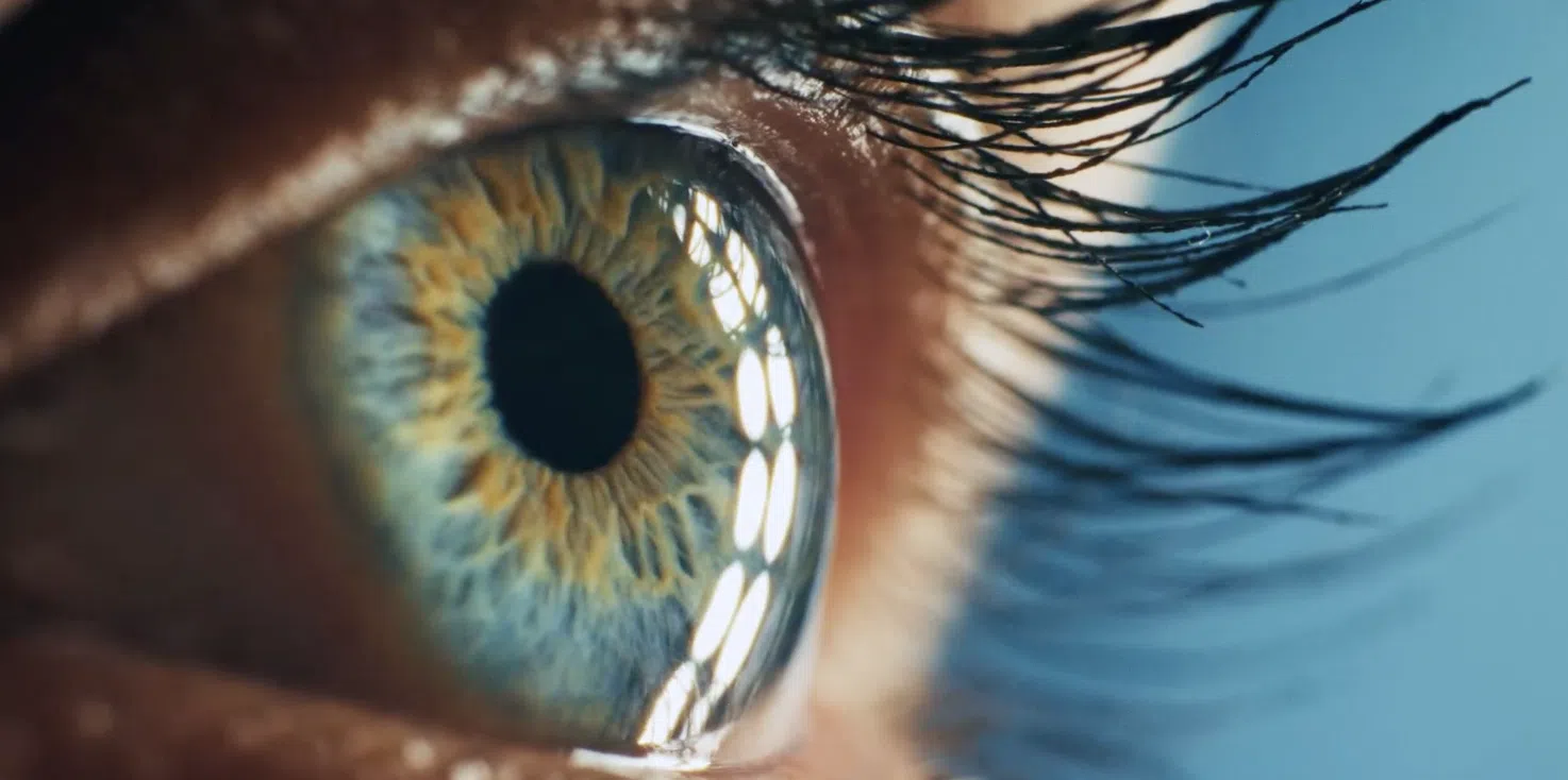 Ojo de una persona.