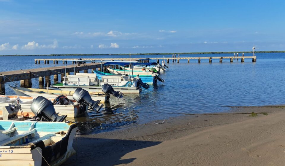 Pangas camaroneras acomodadas en embarcadero de Sinaloa