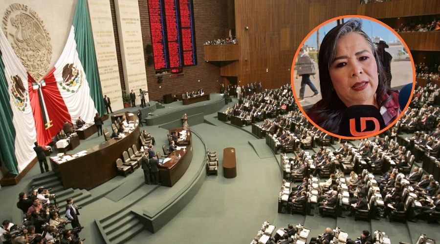 Pleno de la Cámara de Diputados junto a un circulo con Ana Ayala