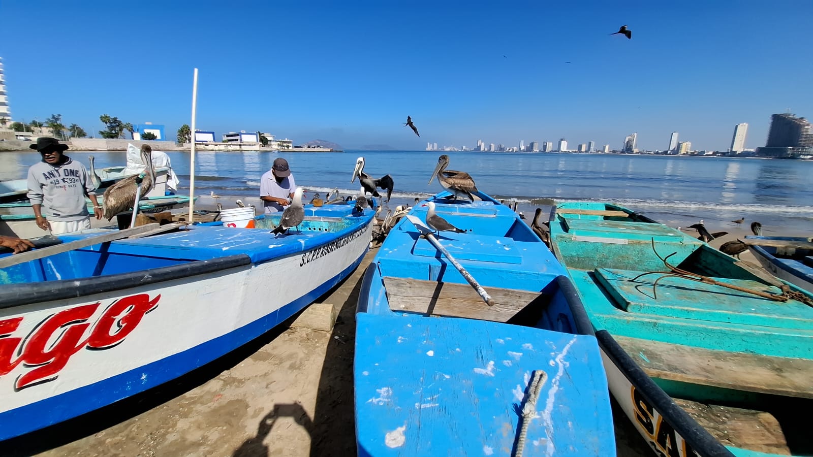 Pescadores mazatlecos en área costera