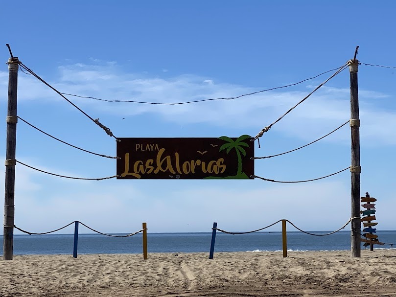 ¿Qué tal unos ostiones frente al mar?