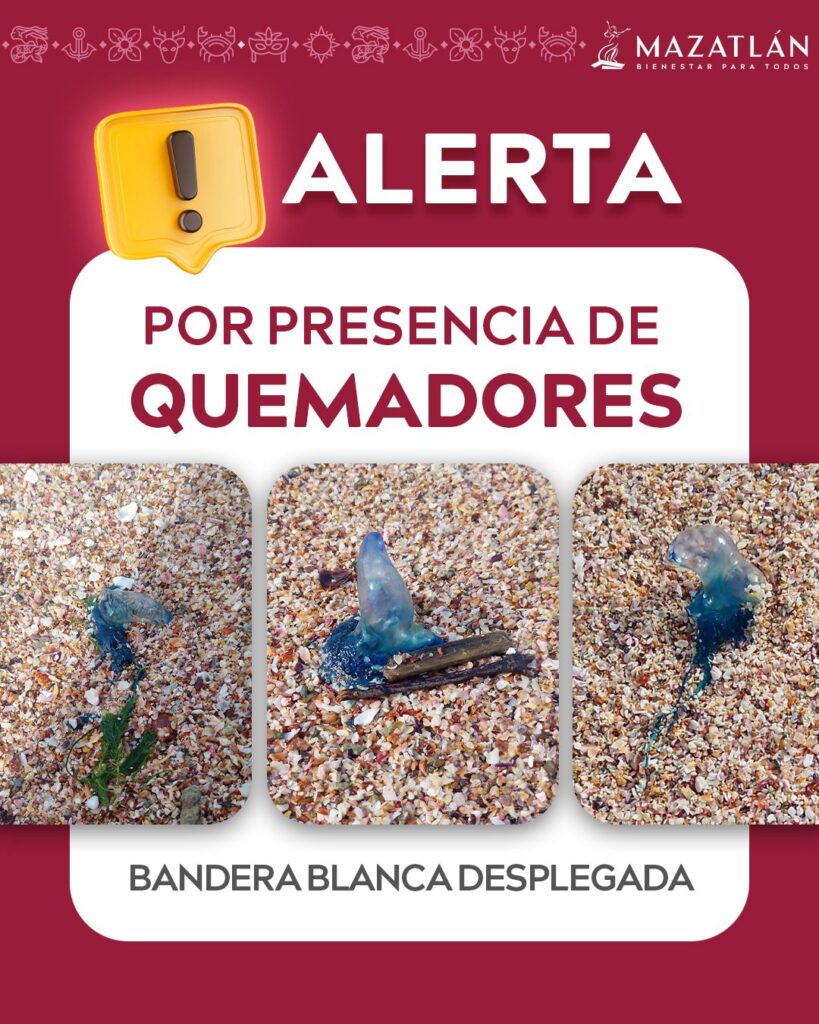 Imagen informativa acerca de alerta por presencia de quemadores