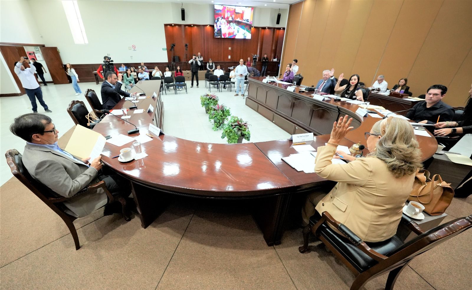 Diputada propone incrementar penas por quema de soca y esquilmos agrícola