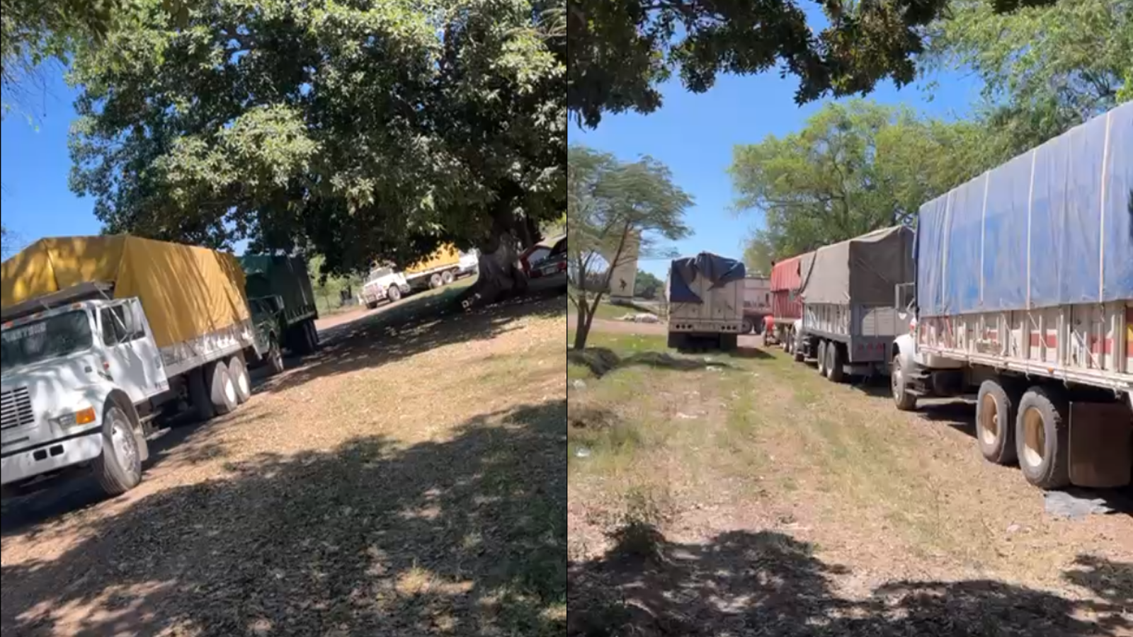 Productores “velan” su frijol por semanas y en la espera baja el precio del grano