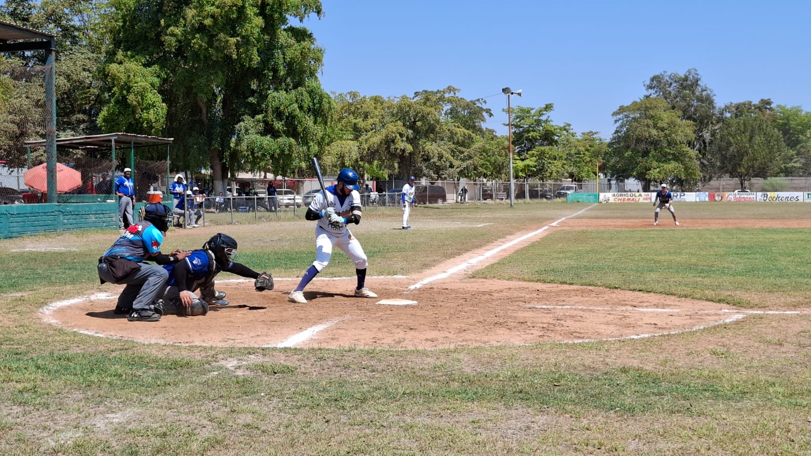 ¡Duelo de emplumados! Cardenales se mantiene invicto y Águilas acecha el liderato de la Peimbert Camacho