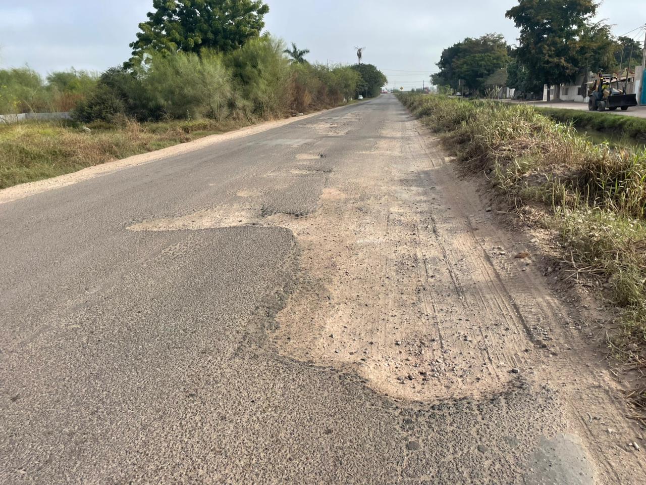 calle con baches y arbustos a los costados