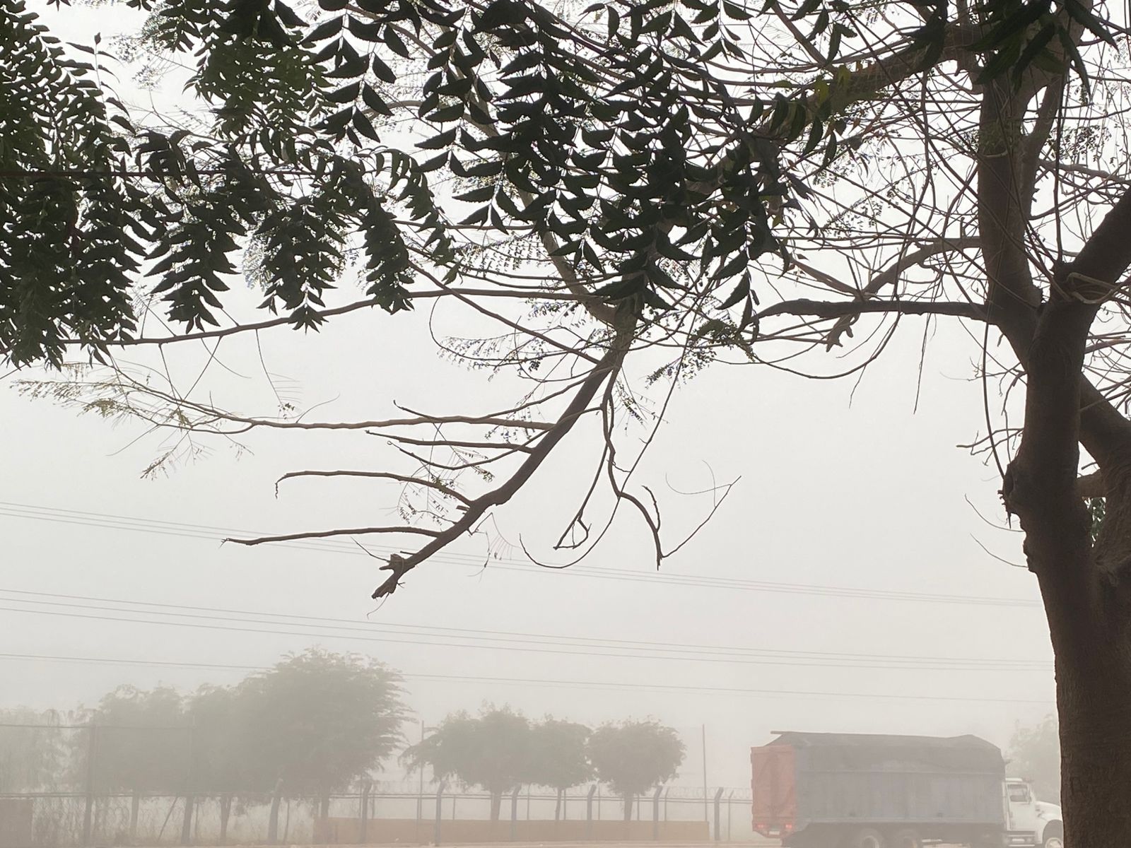 Paisaje entre bancos de niebla