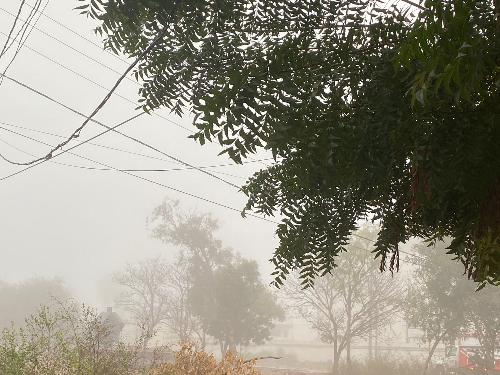 Paisaje entre bancos de niebla