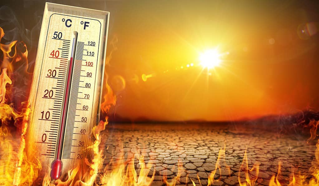 termómetro que marca temperatura arriba de los 40 grados, de fondo tierra seca con llamas y el sol en el cielo con tonos rojizos y naranjas