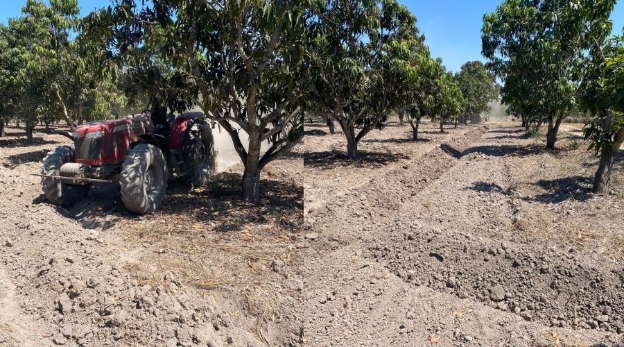 Huertas de mango junto a una maquinaría en el terreno
