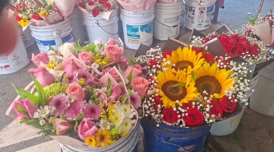 Flores.
