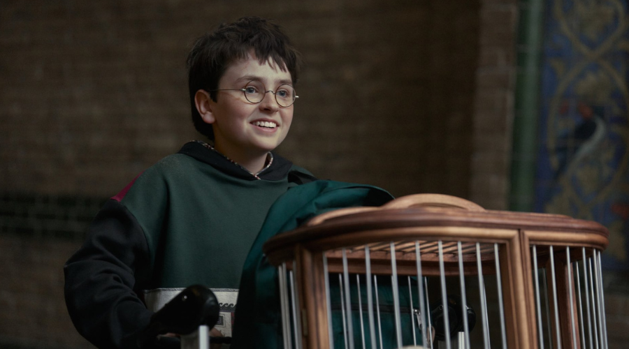 el actor Dominic McLaughlin en el papel de Harry Potter enb HBO Max.