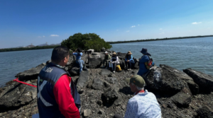 Jornada de cuidado de los manglares de Mazatlán