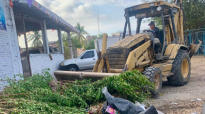 Jornada de cuidado de los manglares de Mazatlán