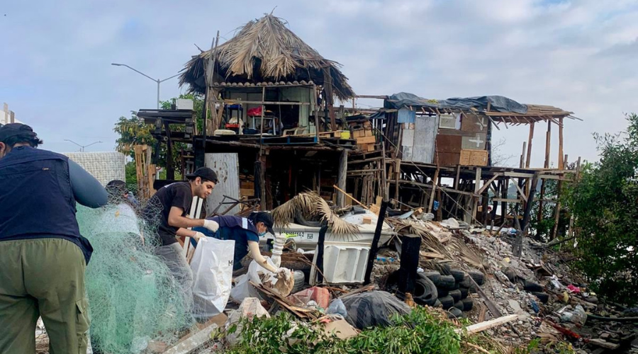 Jornada de cuidado de los manglares de Mazatlán
