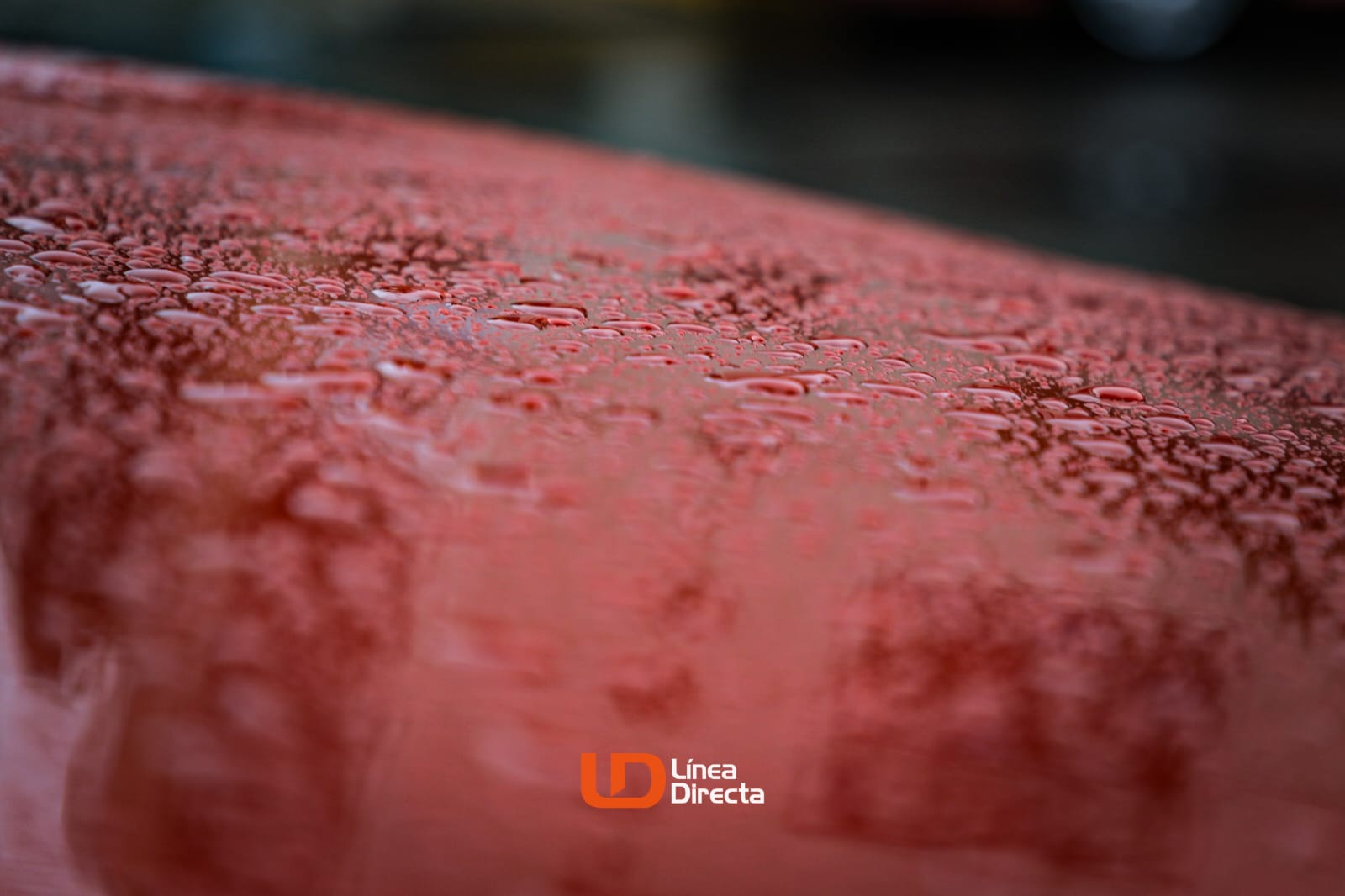 gotas de lluvia en el cofre de un carro rojo