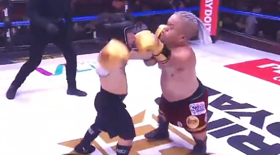 Abelito vs Bull Terrier en el Ring Royale.