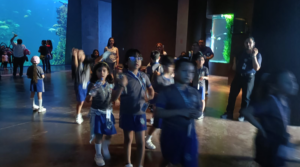 Estudiantes recorren el Acuario Mazatlán