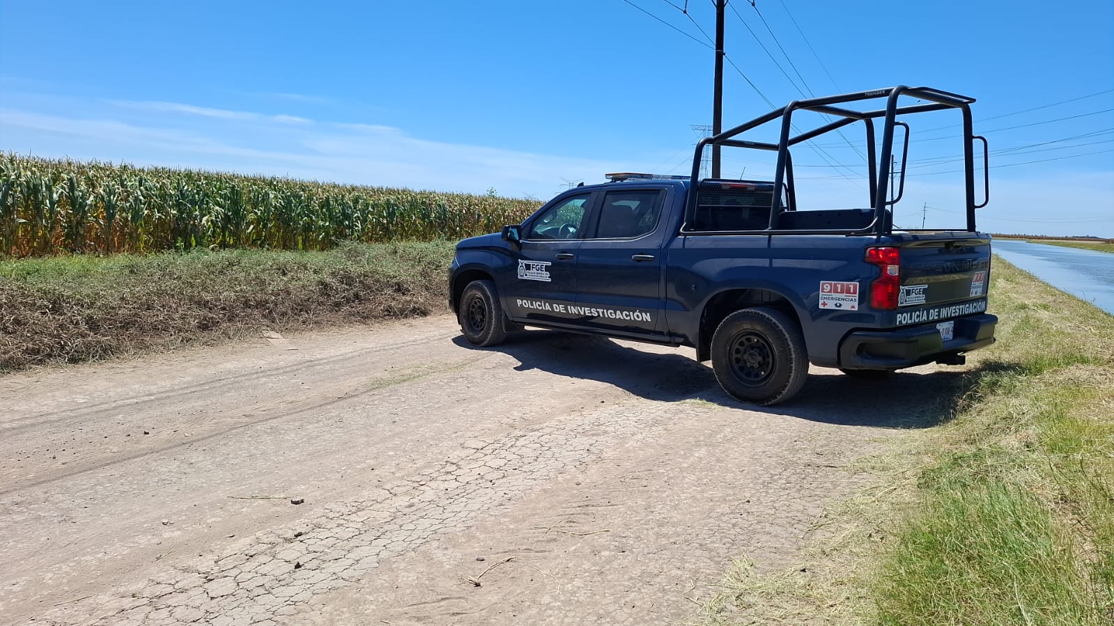 Policía de Investigación en un campo agrícola
