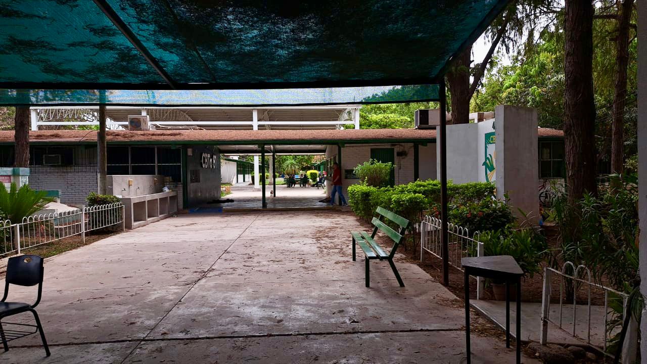 CBTA 81