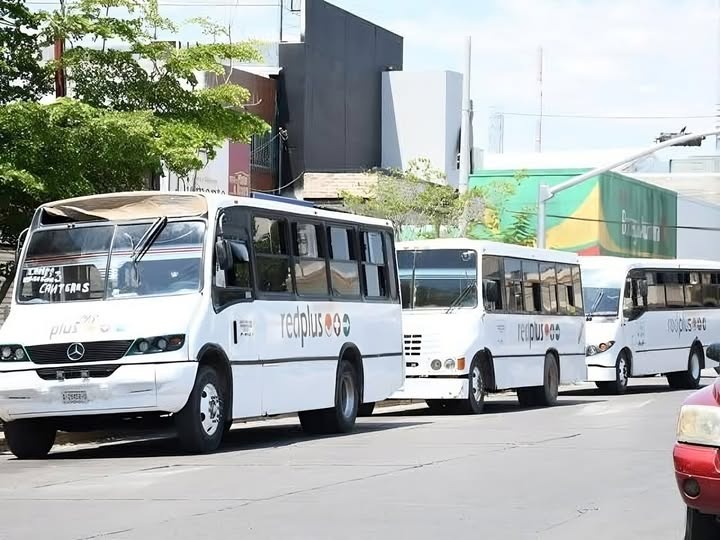 Tres camiones urbanos color blanco en Los Mochis