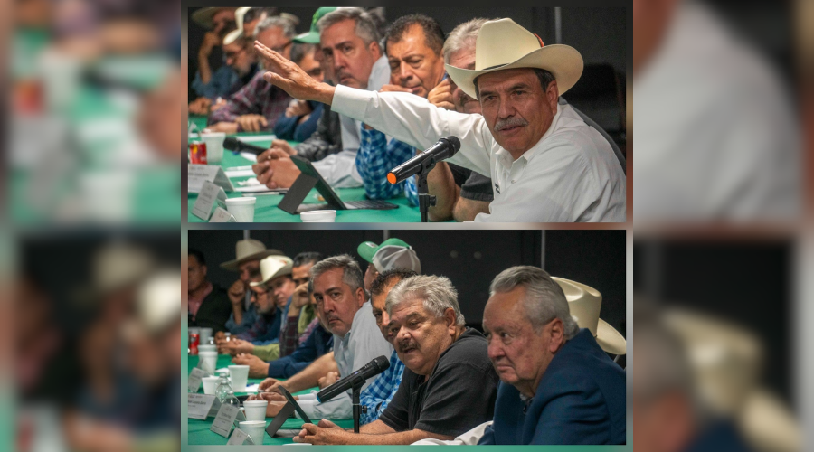 Agrupaciones de campesinos.