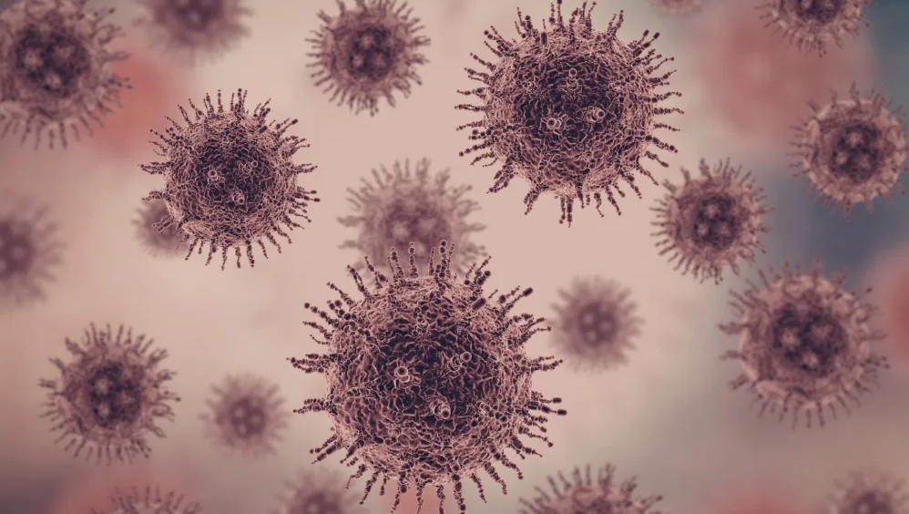 ¿Nuevo riesgo sanitario? Estudian si el nodavirus puede afectar a humanos