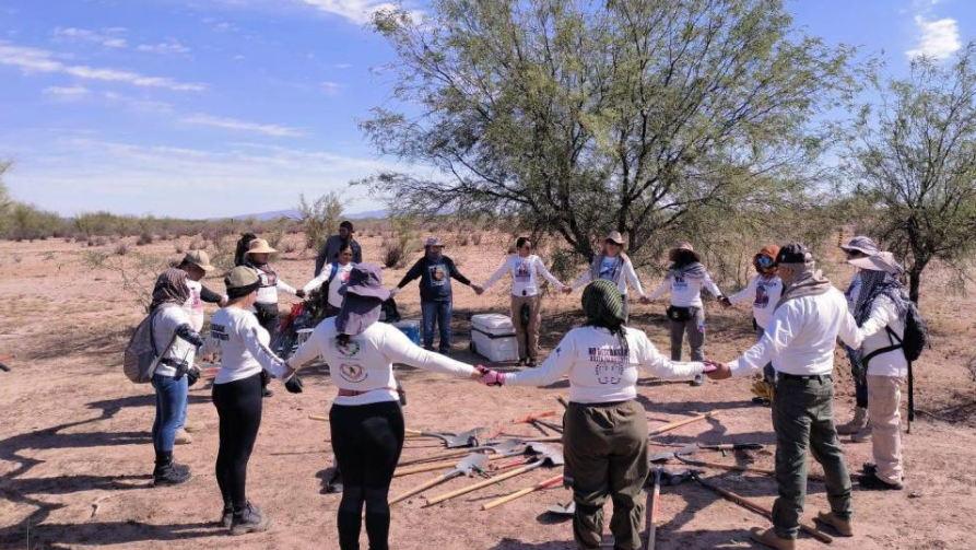 Hallan fosas clandestinas en Guaymas; colectivo reporta decenas de restos humanos