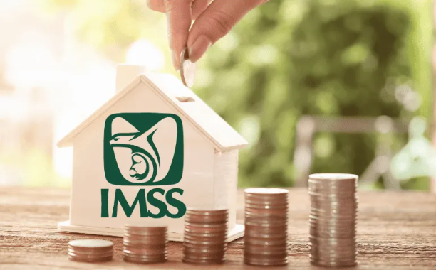 IMSS: ¿Cesantía o vejez? Cómo elegir la mejor opción de retiro