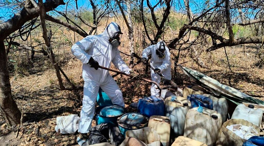 Destrucción de narco laboratorio en La Palma, Cosalá