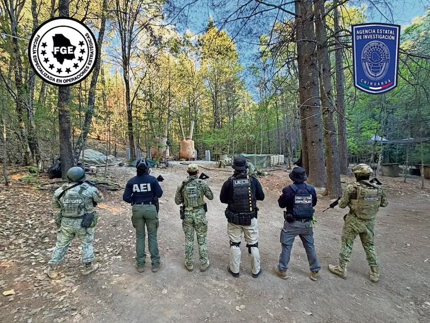 Agentes de investigación de espaldas en una zona boscosa