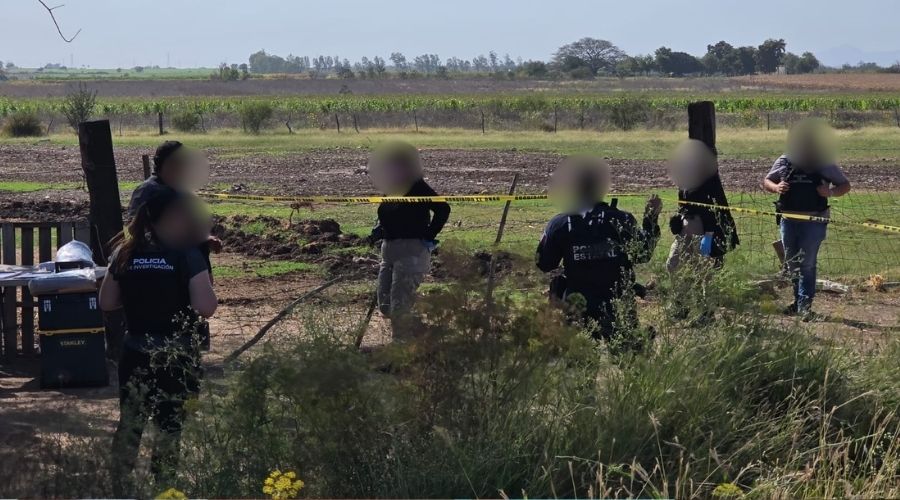 Cinco personas de investigación en un campo con maleza