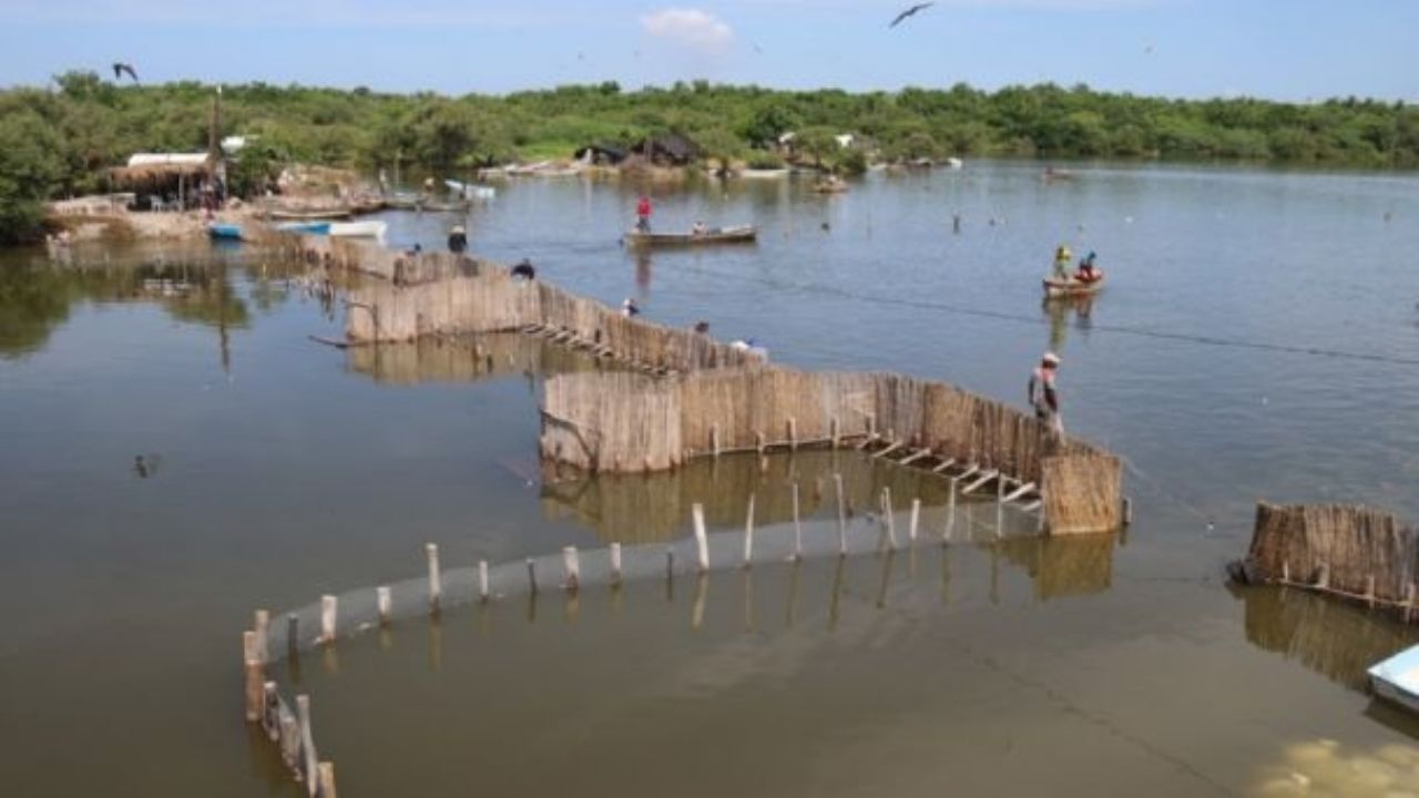 Urgen dragado para abrir bocas de los ríos Presidio y Baluarte