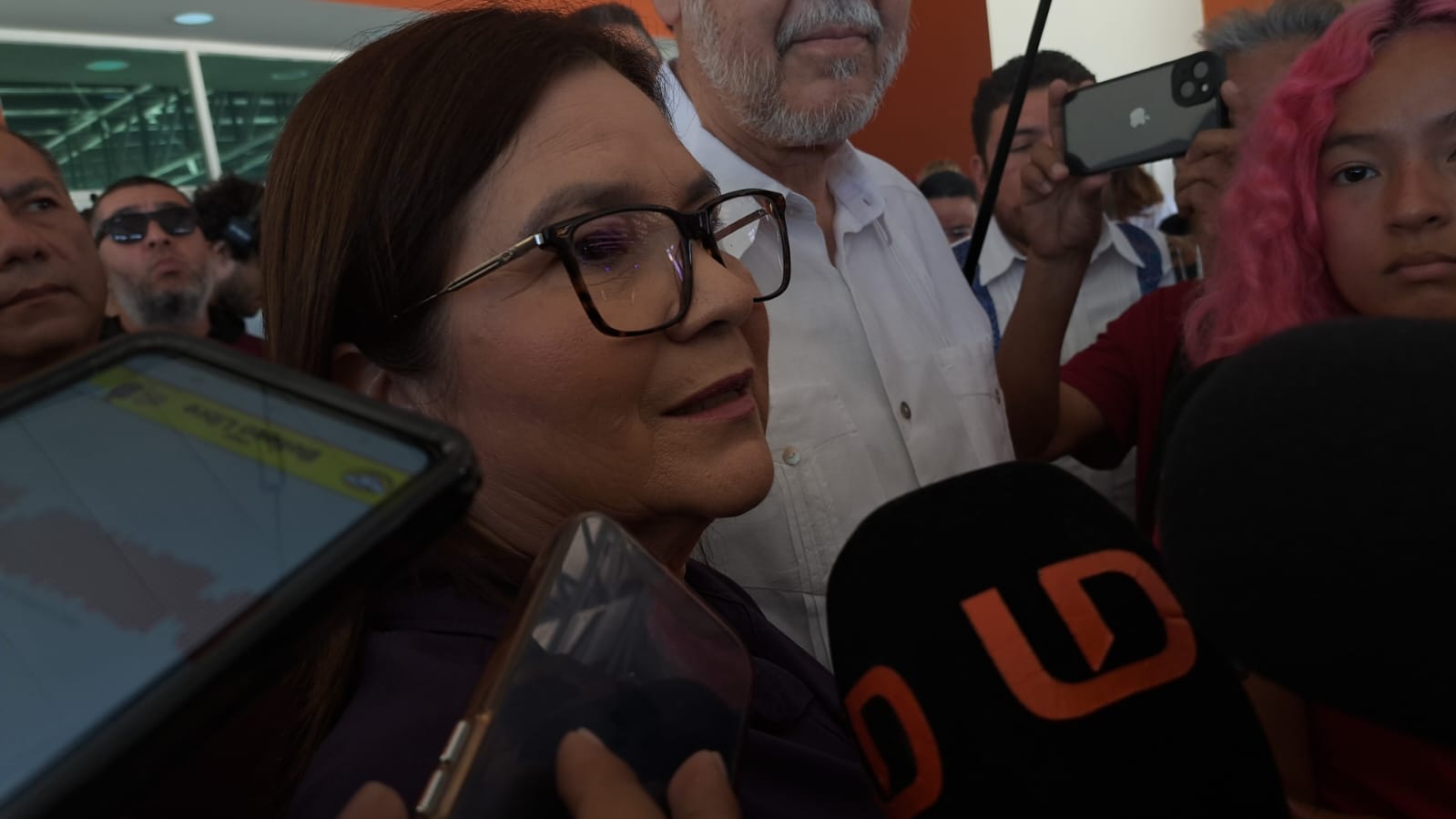 Imelda Castro, senadora de la República por Morena.