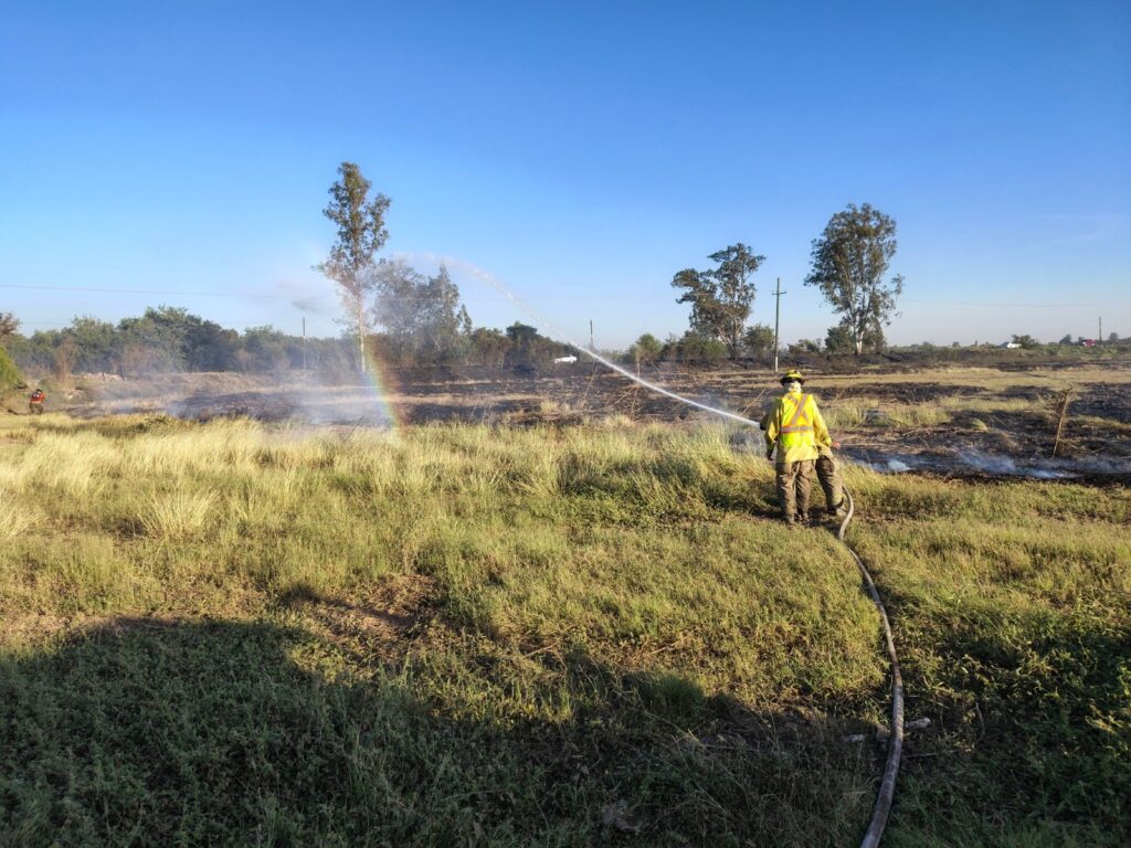 Bombero sofocando unas llamas en un terreno.
