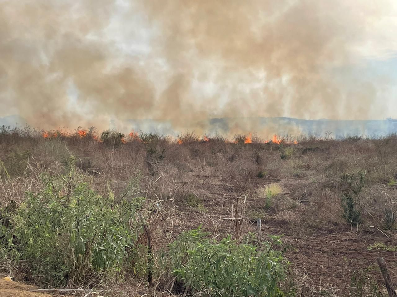 Incendio en un terreno enmontado en La Garrapata, Mazatlán.