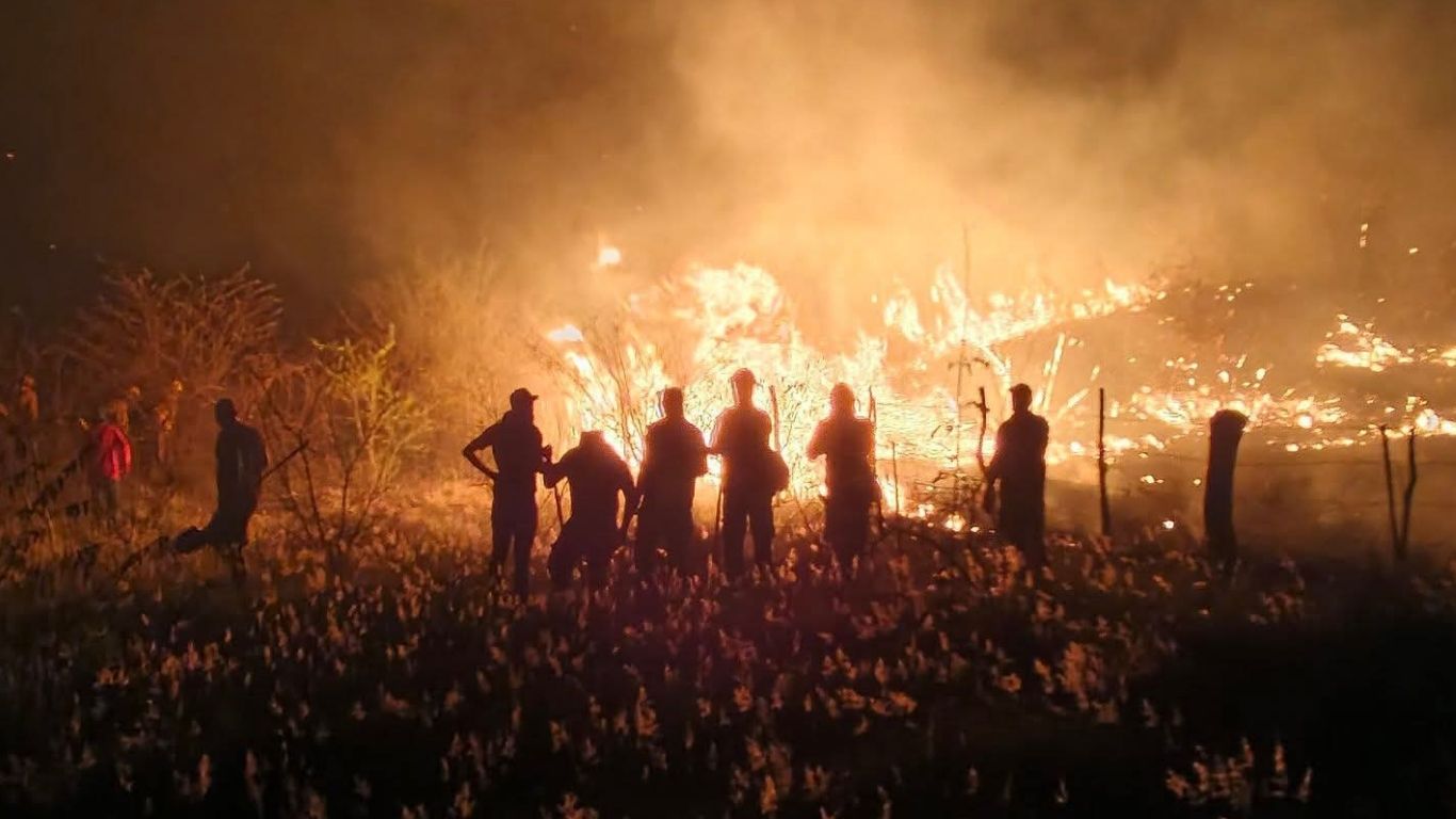 personas frente a incendio forestal