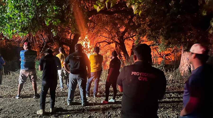 Cuerpos de emergencias arriban a Mochicahui, El Fuerte tras reporte de un incendio forestal