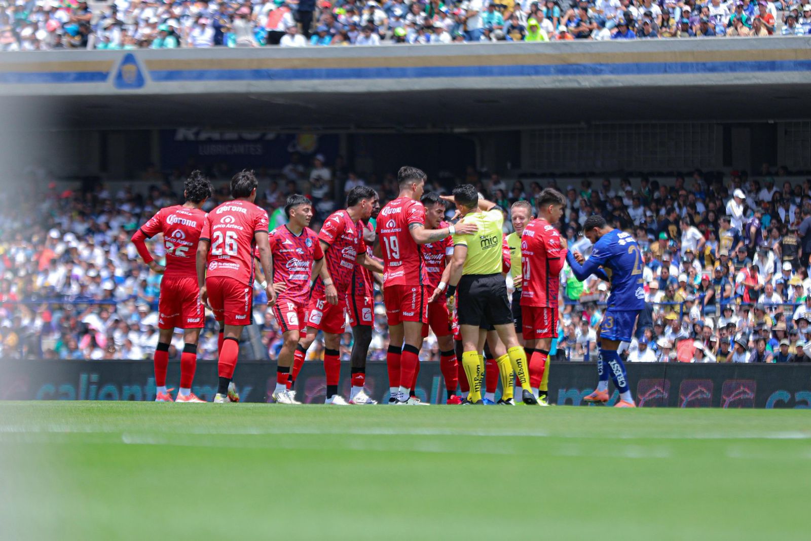 ¡Jornada 14! Goles, expulsiones y sorpresas: conoce lo más destacado de la Liga MX