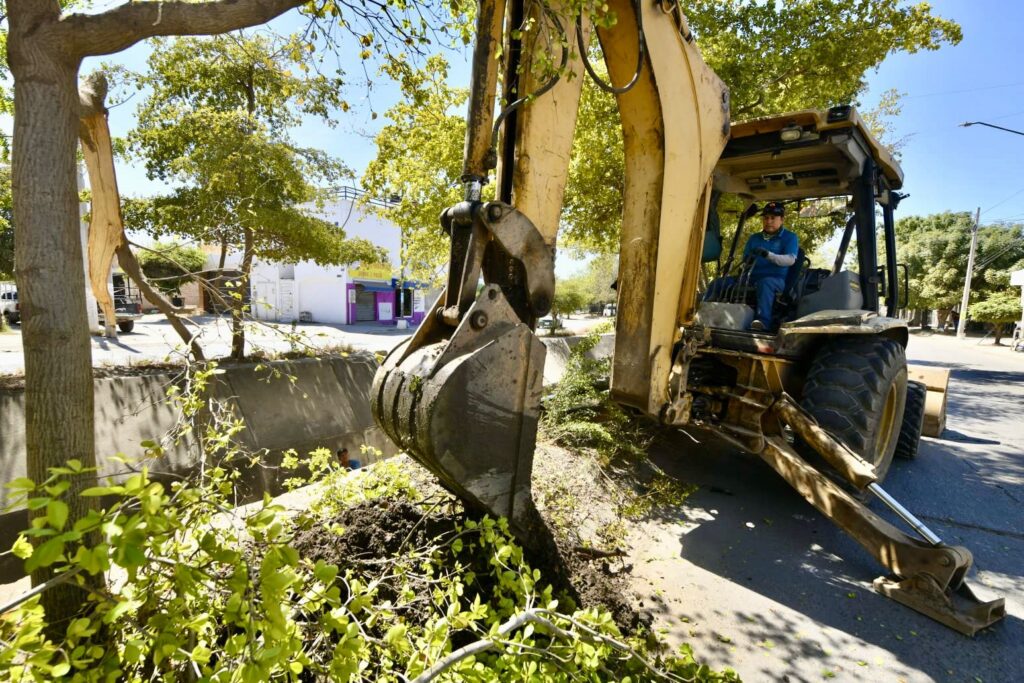 Gobierno de Mazatlán ha limpiado más de 15 kilómetros de canales