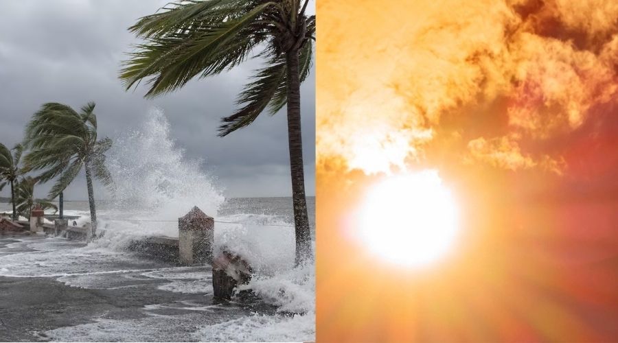 Costa con palmas siendo golpeadas por la lluvia y el viento de un huracán y un sol fuerte en un cielo naranja con nubes